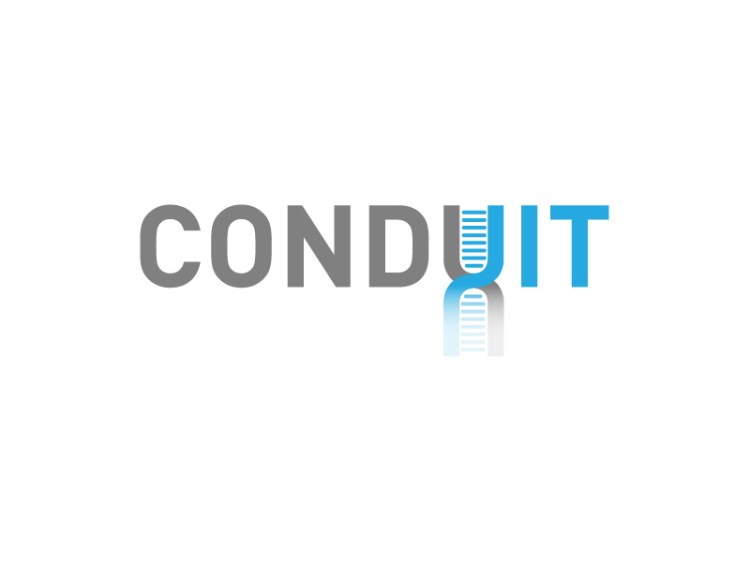 conduit_wordpress